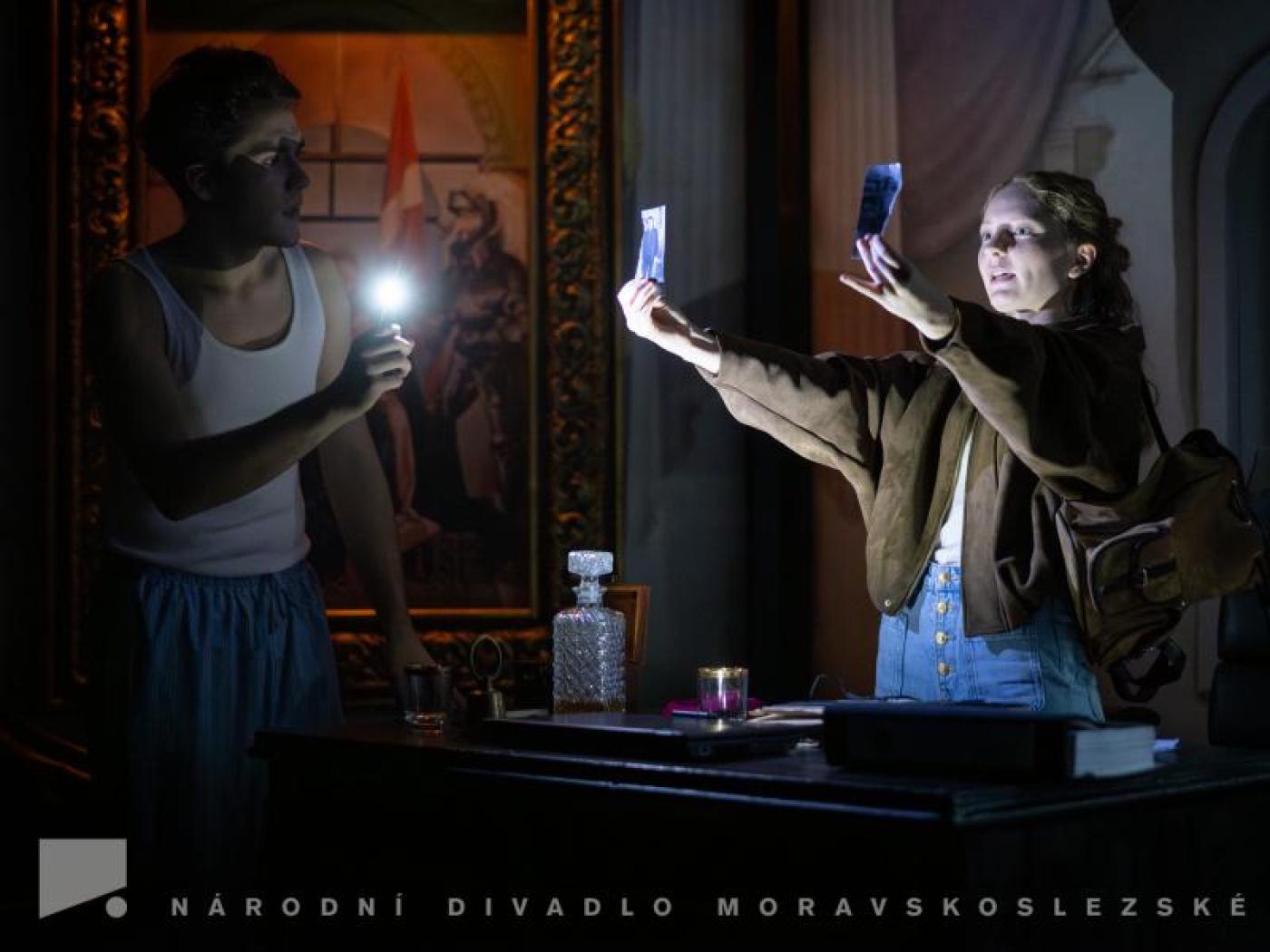 Kardinální chyba, Národní divadlo moravskoslezské – Divadlo 12